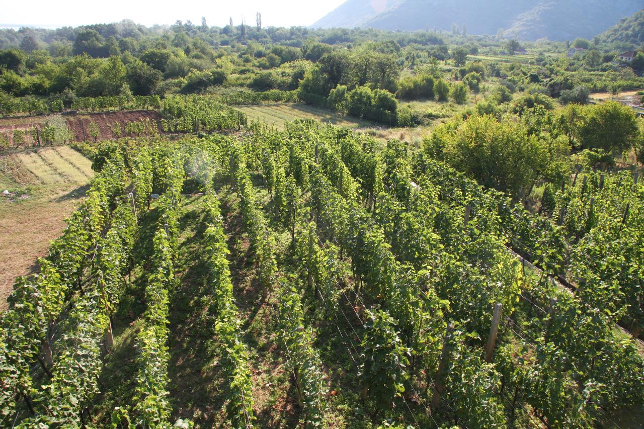 Vrzina Farm House Skadar Lake Virpazar Exterior foto