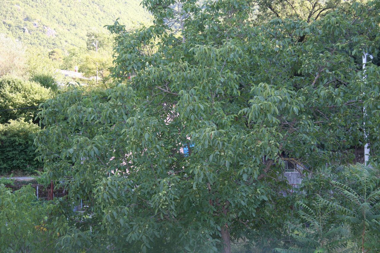 Vrzina Farm House Skadar Lake Virpazar Exterior foto