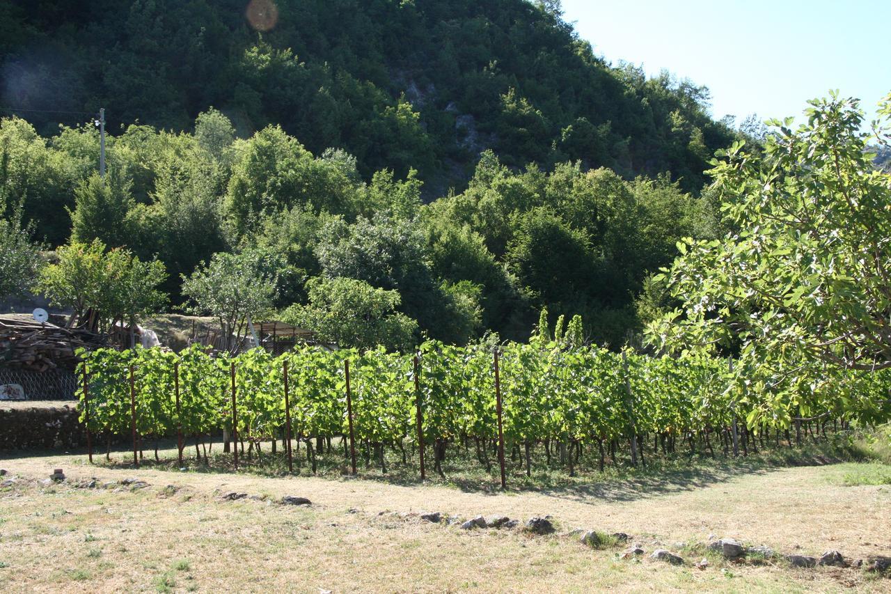 Vrzina Farm House Skadar Lake Virpazar Exterior foto