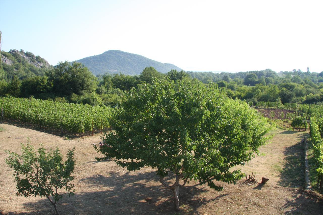 Vrzina Farm House Skadar Lake Virpazar Exterior foto