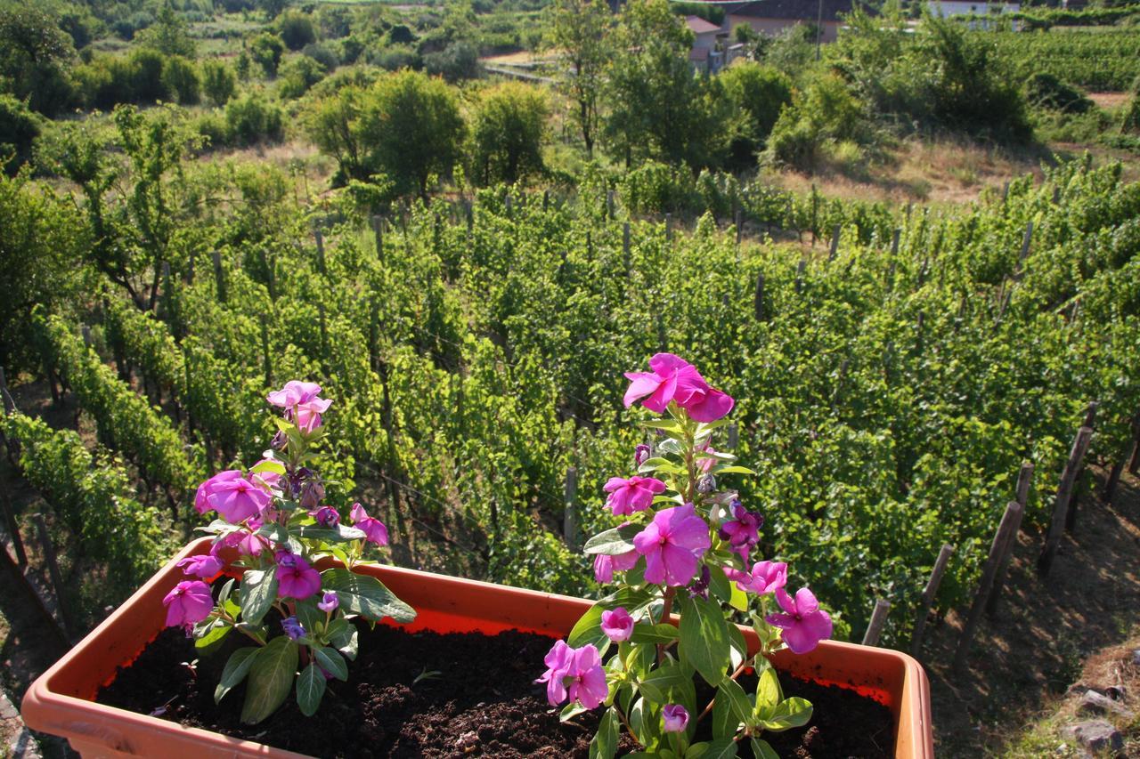 Vrzina Farm House Skadar Lake Virpazar Exterior foto