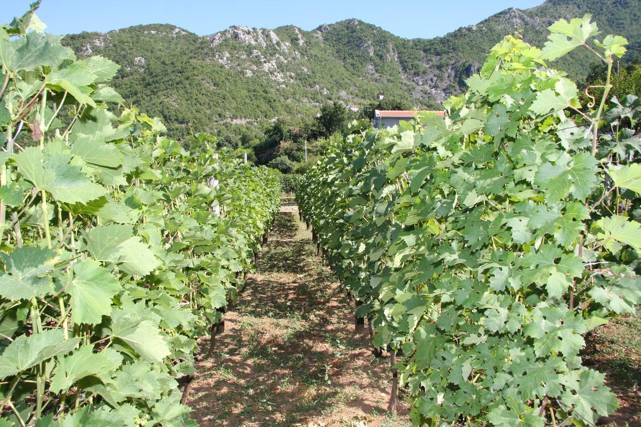 Vrzina Farm House Skadar Lake Virpazar Exterior foto