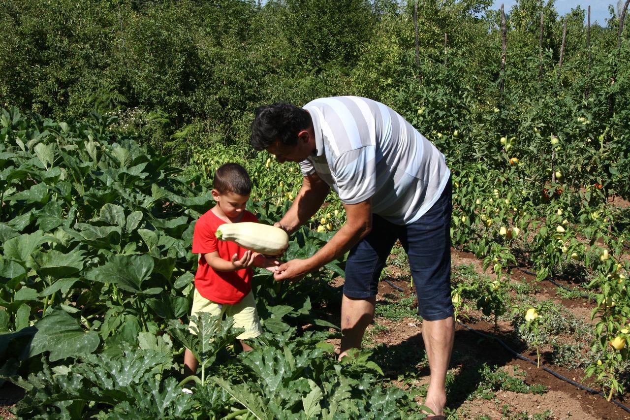 Vrzina Farm House Skadar Lake Virpazar Exterior foto