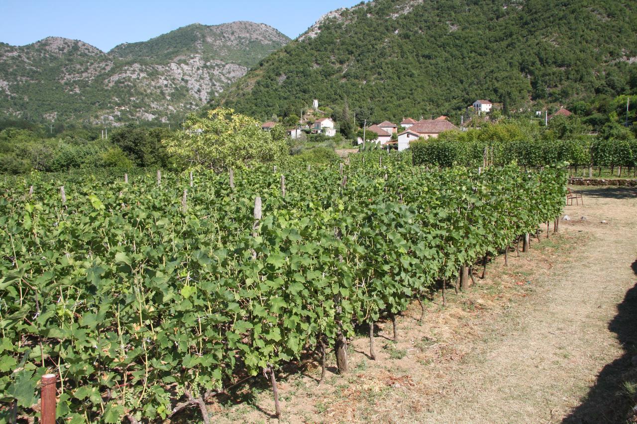 Vrzina Farm House Skadar Lake Virpazar Exterior foto