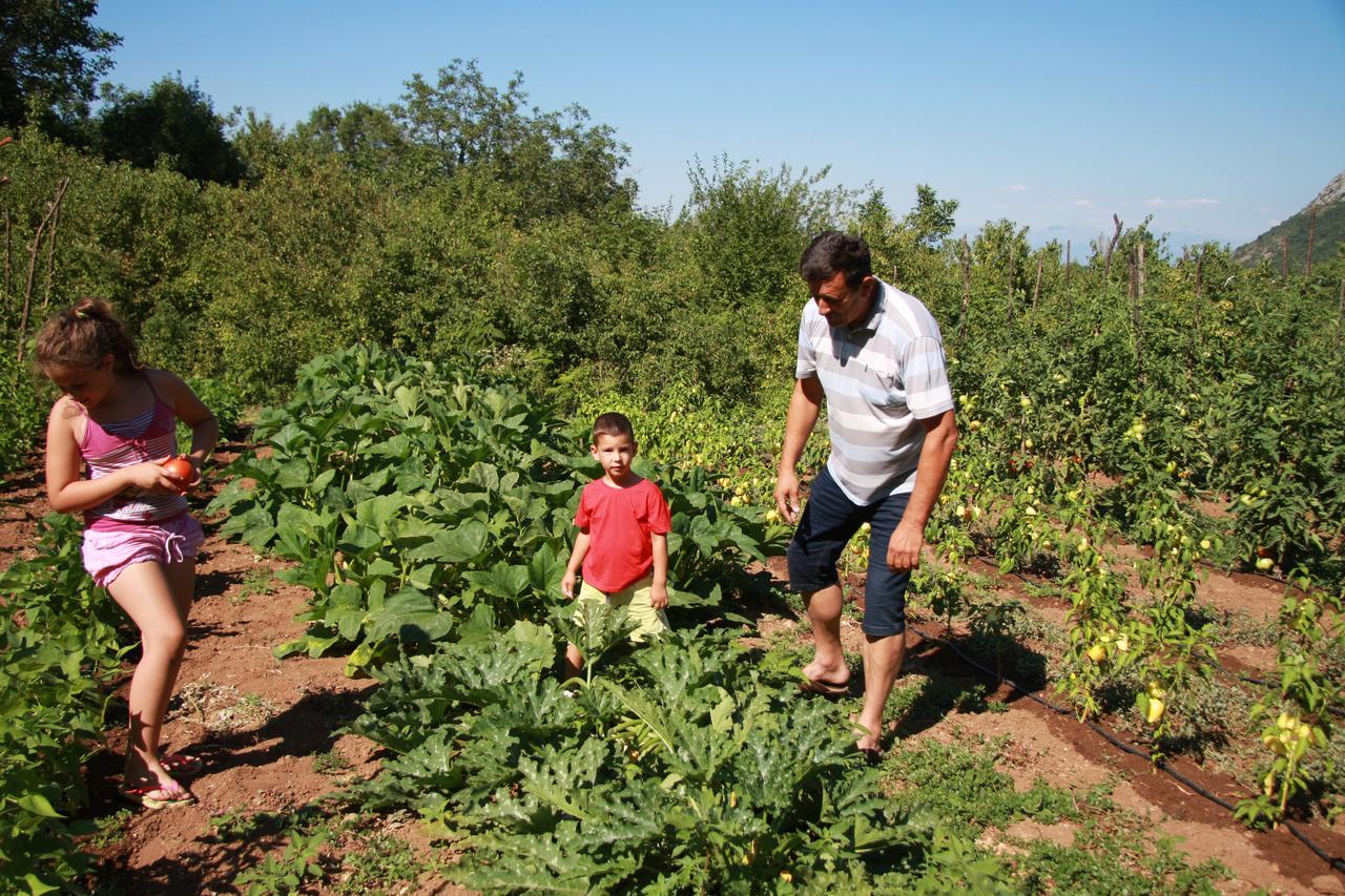 Vrzina Farm House Skadar Lake Virpazar Exterior foto