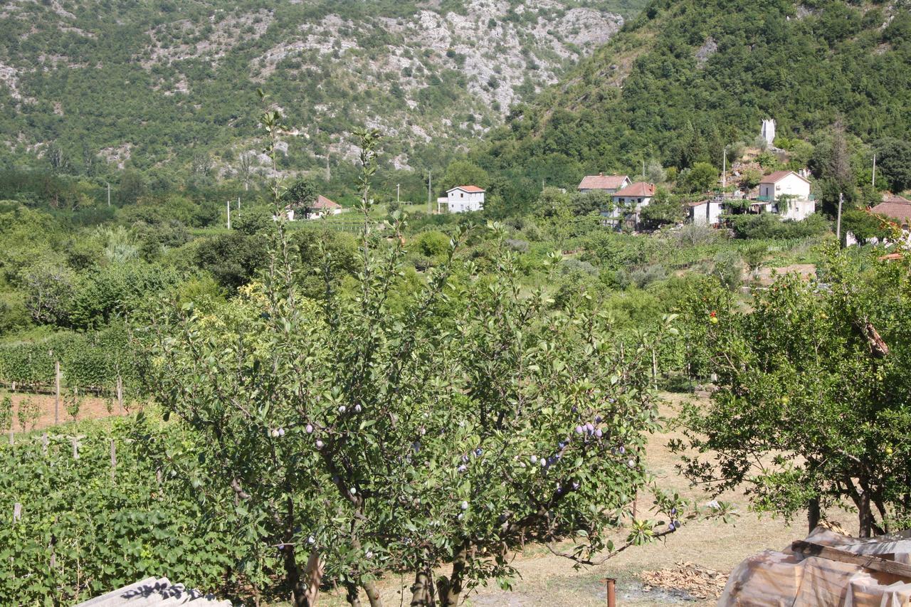 Vrzina Farm House Skadar Lake Virpazar Exterior foto