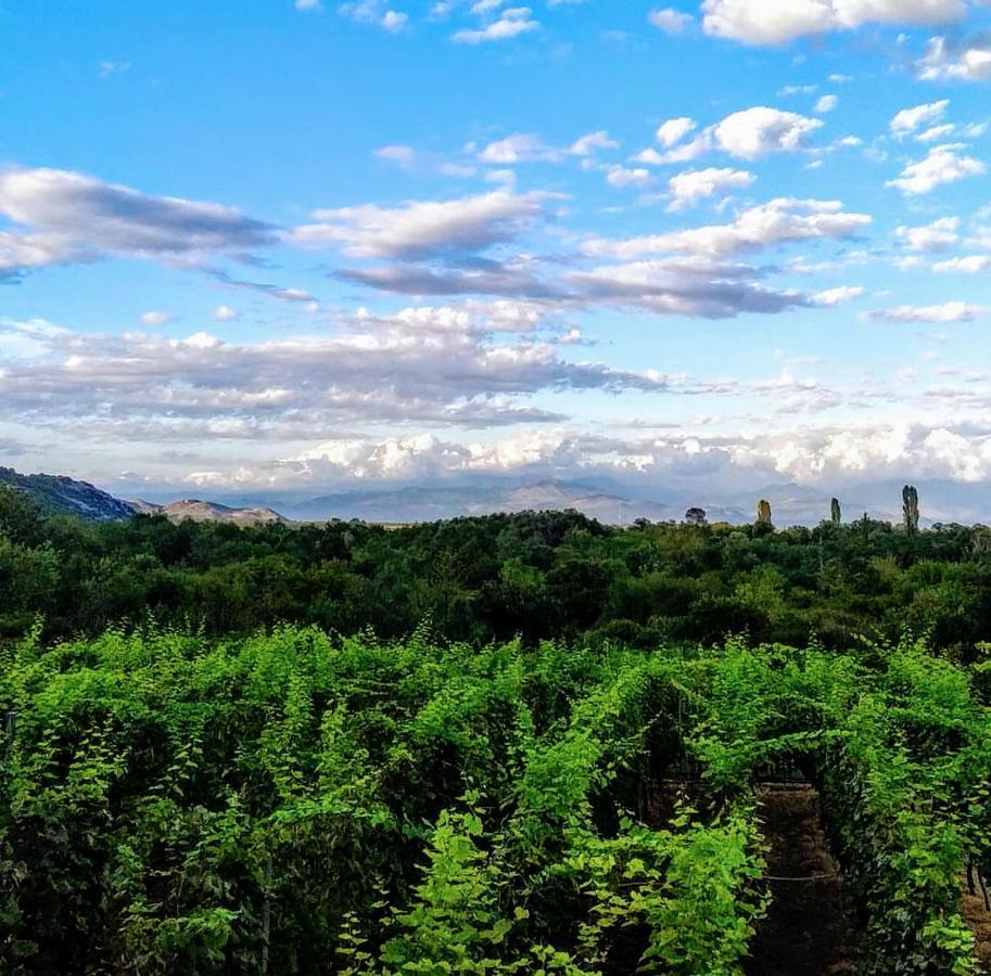 Vrzina Farm House Skadar Lake Virpazar Exterior foto